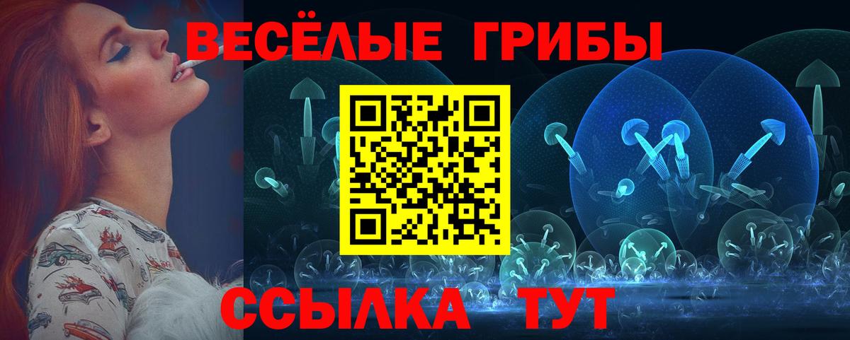Муром  Галлюциногенные грибы Magic Shrooms  Вход с VPN 